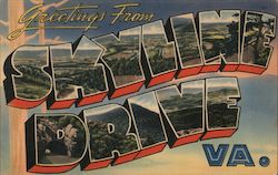 Greetings from Skyline Drive Virginia Postcard Postcard Postcard