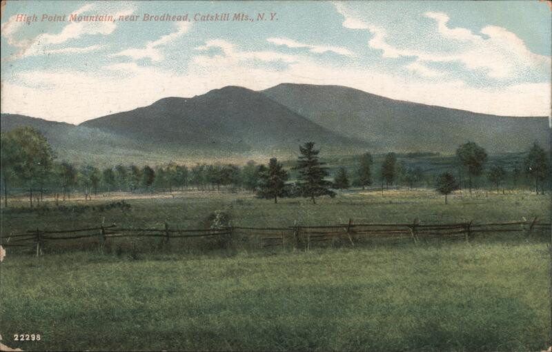 High Point Mountain near Broadhead, Catskill Mts. NY Olive New York