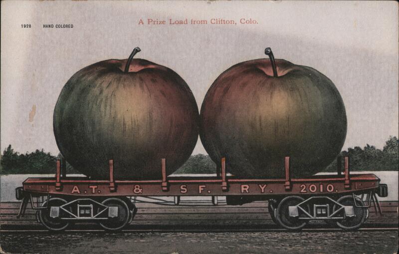 A Prize Load from Clifton, Colorado - Giant Apples