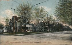 Pretty Residence Section of West Market St., Lima, Ohio Postcard