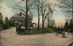 McGown's Pass Tavern, Central Park, New York City Postcard
