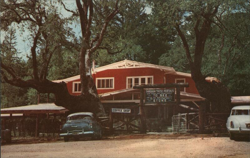 The Petrified Forest - main entrance, office and residence Santa Rosa California