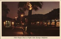Palm Canyon Drive at Night, Palm Springs, California Postcard