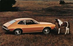 1971 Ford Pinto 2-Door Sedan with Foal Postcard