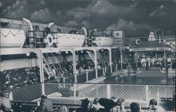 The Tonga Room Postcard