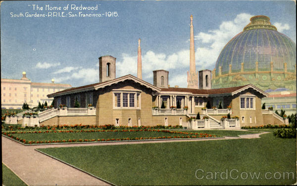 The Home Of Redwood, South Gardens-P.P.I.E San Francisco California