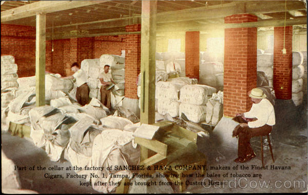 Sanchez & Haya Company Tampa Florida