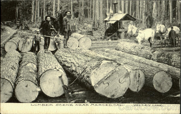 Lumber Scene Merced California
