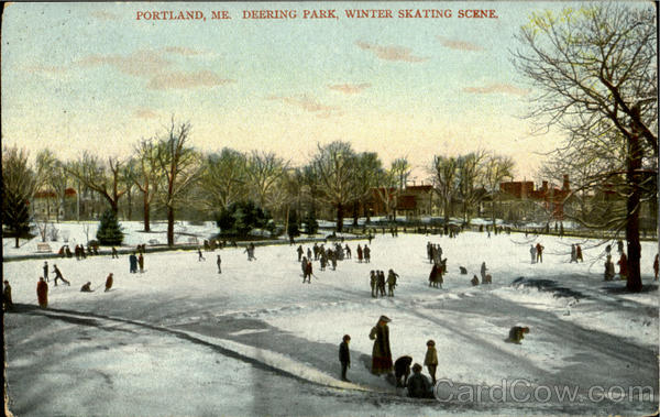Deering Park, Winter Skating Scene Portland Maine