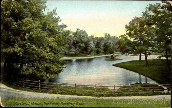 The Pond, Deering Oaks Portland Maine