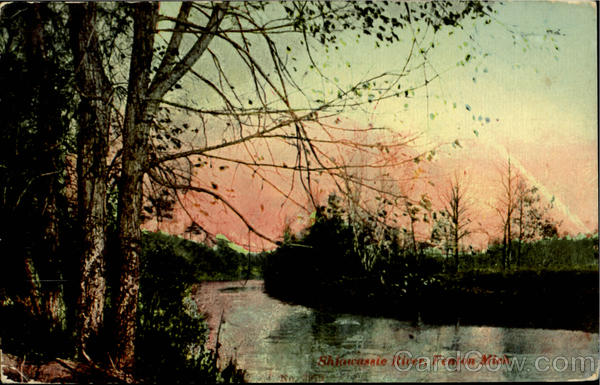 Shiawassle River Fenton Michigan