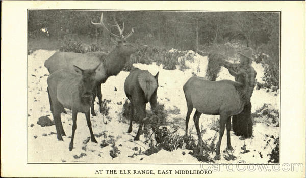 The Elk Range,East Middleboro Massachusetts