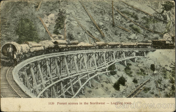 Forest Scenes In The Northwest - Logging Train