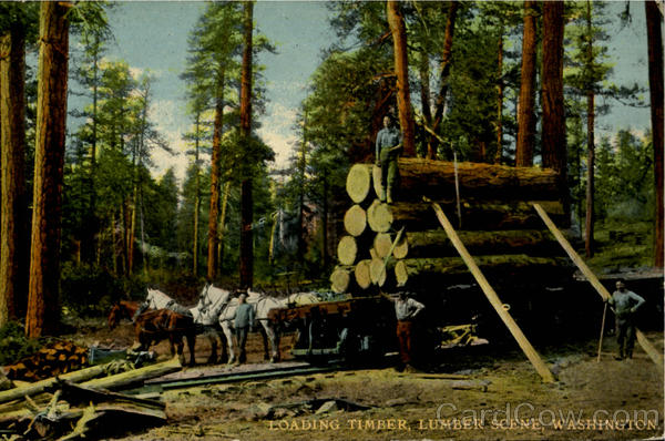 Loading Timber,Lumber Scene Washington Logging