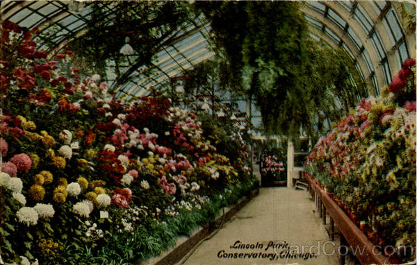 Lincoin Park, Conservatory Chicago Illinois