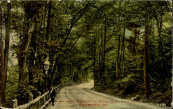 Bcene Along Wissahickon Drive,Above Allen Lane Philadelphia, PA Postcard Postcard