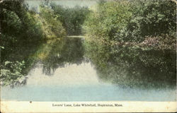 Lovers' Lane,Lake Whitehall Hopkinton, MA Postcard Postcard