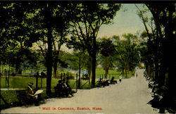 Mall In Common Postcard