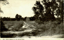 PUBLIC HIGHWAY IN THE IIIinois FIELD Postcard