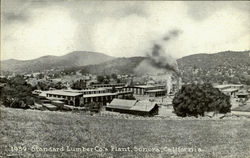 Standard Lumber Co.'S Plant Sonora, CA Postcard Postcard