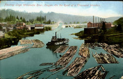 Floating Logs Willamette River Oregon Logging Postcard Postcard