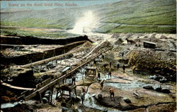 Scene On The Anvil Gold Mine Alaska Postcard Postcard