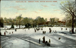Deering Park, Winter Skating Scene Postcard