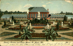 Shaw'S Garden And Palm House Postcard