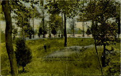 Battlefield of the Crater Petersburg, VA Postcard Postcard