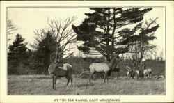 The Elk Range,East Middleboro Postcard