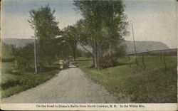 On The Road To Diana'S Baths Postcard