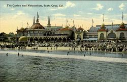The Casino And Natatorium Postcard
