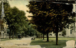 Street Scene Postcard
