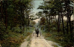 Indian Trail Road To Race Point Light Postcard