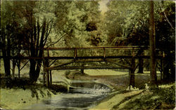 View In Genesse Valley Park Postcard