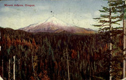 Mount Adams Postcard
