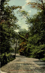 Wissahockan Drive Postcard
