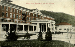 Front View, Homestead, Va, Hot Springs Postcard