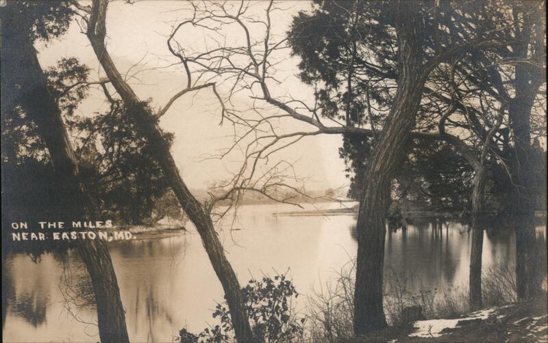 On the Miles River Near Easton, MD Maryland