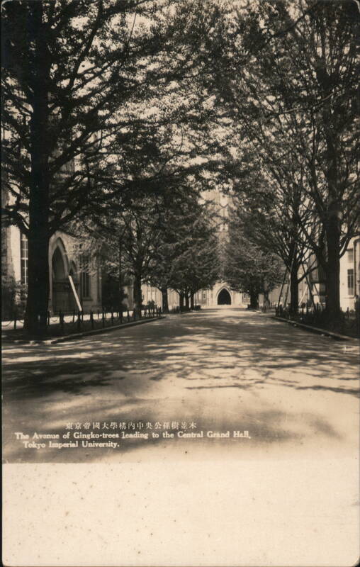 The Avenue of Ginko-trees Leading to the Central Grand Hall, Tokyo Imperial University Japan