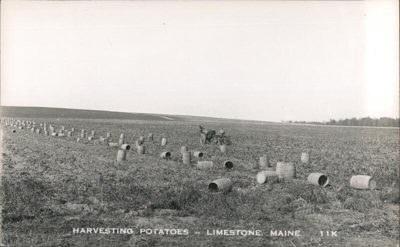 Harvesting Potatoes -- Limestone, Maine