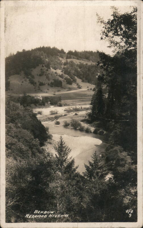 Redwood Highway View California