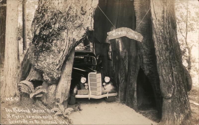 The Redwood Shrine Garberville California