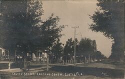 Center Street Looking South, Eustis, FL Postcard