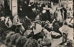 Hay Merchants, Avion Postcard