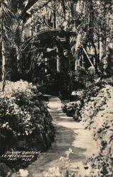 Sunken Gardens, St. Petersburg, FL Postcard