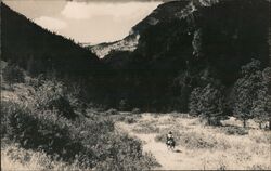 Horseback Riding Eaton's Ranch Postcard