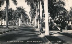 Royal Palm Way, Palm Beach, FL Postcard
