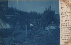 Cyanotype View of Vines on East Side of Home Postcard