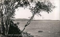 View at Lincolnville, ME Postcard